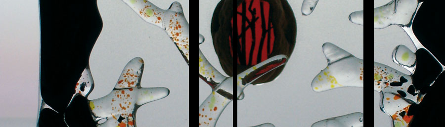 vitrail - cocon n°2